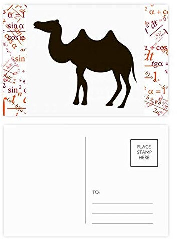 Postkarten-Set, Motiv: schwarzes Kamel, 20 Stück