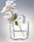 Glas-Vase, Geldbörse, Vase mit Fischschale, Handtaschen-Form, Blumenvase – für Heimdekoration, Unterstück, Veranstaltungen, Büro, Garten, Hochzeit