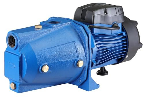 Elettropompa Autodescante Autoclave Periferica 1HP 750W Pompa Girante Acciaio