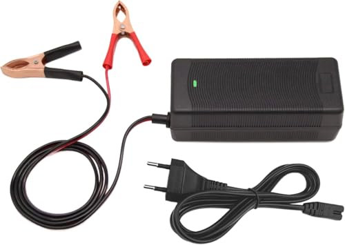 14,6 V 5 A LiFePO4 Akku-Ladegerät, Smart-Lader für 12,8 V Lithium-Eisenphosphat-Batterien Krokodil Klemmen LED Anzeige speziell für Lithium LiFePO4 Deep Cycle Akkus von Boot, WoMo Solor