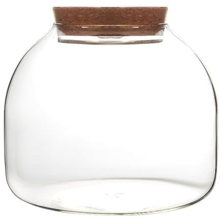 Terrarium en Verre pour Plantes Terrarium pour Plantes de 1600 ML avec Couvercle en liège Grand Pot de à Ouverture pour Mini succulentes aménagement paysager présentations Florales