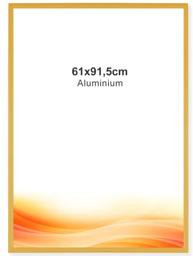 RAWWEST.BIS Bilderrahmen aus Aluminium 61x91,5 cm Fotorahmen Alurahmen Gold