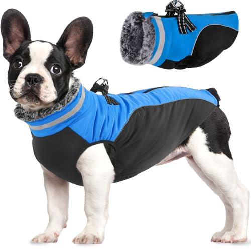 Lairle Hundemantel wasserdichte Hundemäntel Winter Hundejacke Hundekleidung Hundegeschirr Mantel Reflektierender Hundemantel mit Geschirr für kleine mittlere große Hunde