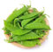 50 piezas semillas de guisantes de azúcar semillas de tirabeque semillas de guisante semillas vegetales semillas de jardin plantas de jardin semillas organicas semillas vegetales semillas