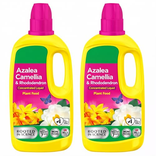 Ericaceous Liquid Plant Food 800ml Pack of 2 | Acid Loving Plant Feed | Liquid Fertiliser for Azaleas, Rhododendrons, Camellias & Blueberries
