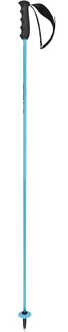 HEAD Unisex-Adult Worldcup Rebels Carbon Skistöcke, Speed Blue/Schwarz/Weiß, 120