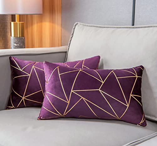 YONGLIU 2 Stück weicher Samt-Kissenbezug, dekorative goldene Folie, geometrisches Muster, rechteckige Kissenhülle für moderne Häuser, Couch, Sofa, Wohnzimmer, Stuhl (Schatten lila, 30.5 x 50.8 cm)