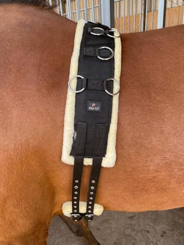 Preto Horse Training Body Roller or Lunging Girth Synthetic Nylon Webbing Fleece/Faux fur Padded Exercise Lunge Roller Girth Anti-Chafing Equestrian Pony Sattelgurt Vollblut Pony Warmblut