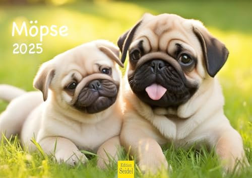 Edition Seidel Premium Kalender Möpse 2025 DIN A4 Wandkalender Hundekalender Mops Hunde Haustiere Haustier Welpen Hunderasse