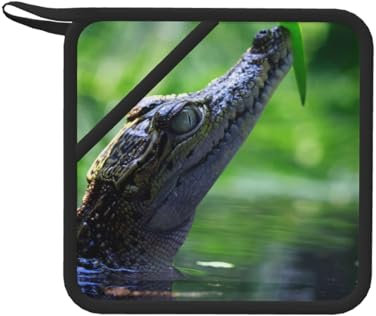Krokodil, Topflappen, Hitzebeständiger Topflappen Küche Silikon Anti-Hot Pad