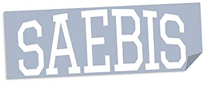 SAEBIS Autoaufkleber Lifestyle weiß oder schwarz - Sticker - Zubehör - Tuning - Autofolie - Klebefolie - Autosticker - Frontscheibe - Heckscheibe (weiß)