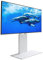 WALL V2 Low Type | Japanisch Eleganter 32-60 Zoll Universal Wand TV-Ständer mit verstellbare Halterung, kein Bohren | Satin Weiß
