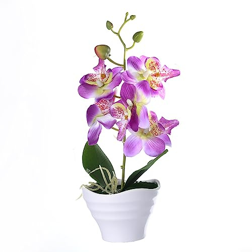 DAZZLEEX Bonsaï artificiel, orchidée artificielle en pot, fleur d'orchidée d'intérieur, plante verte en pot, décoration (type D)