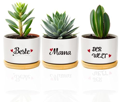 coTaSiEY Muttertagsgeschenk, Beste Mama Blumentopf Blumentöpfe Geschenke für Mama Mutter Geburtstagsgeschen Mothers Day Gifts Ostergeschenk