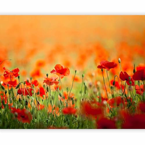 murando - Papier peint panoramique moderne 100x77 cm - Revêtement mural décoration pour chambre salon - Design moderne - Vert beige rouge - Fleurs prairie coquelicots nature plantes 100406-100