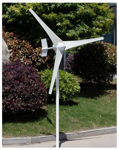 KX-ENERGIE 1000W Komplette Windkraftanlage Kits 12V Windturbine, MPPT Laderegler, Off Grid Wechselrichter Ausgabe 230V Horizontaler Windgenerator 1KW Für Home bauernhof (12, Volt)
