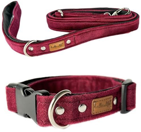 Hundehalsband mit Leine – Set für kleine und große Hunde, strapazierfähig, bequem und verstellbar, mit Metallschnalle (Kirsche, XS (Kunststoffschnalle))