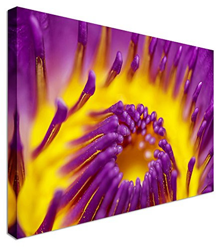 Close to a water Lily Nymphaea alba Canvas Art Wall Print Home Interior 12x16 inches | Canvas Art Wall Print, classic style canvas prints, premium wooden frames