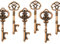 Makhry Misti 20 Apribottiglie Extra Large a Forma di Chiave Apribottiglie antiche in Rame - 2 Stili, 20 Apri Chiave (Rame Antico)