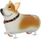 Airwalker Folienballons * Laufende Tiere * als Deko für Geburtstag und Party | 34-115cm groß | Walking Animals Kinder Kindergeburtstag Partydeko Luftballons Ballons, Edition: Corgi