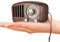 Roxel Retro Vintage Mini Wooden FM Radio & Wireless Speaker - 8 Hour Battery Life, Excellent Reception, Rechargeable, AUX & TF Card Music Player, Walnut Design, 4W Magnet Speaker, Leather Strap