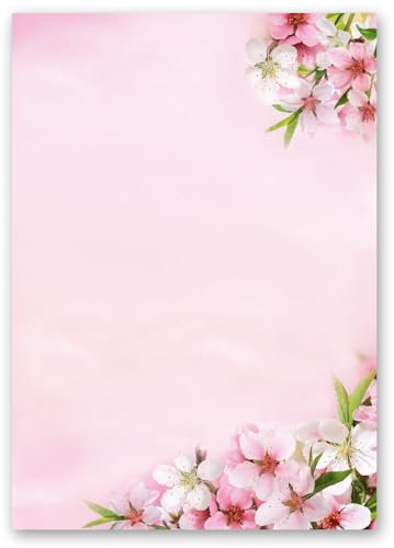50 Blatt Briefpapier PFIRSICHBLÜTEN - DIN A5 (210x148 mm), 90 g/m² - Geburtstag