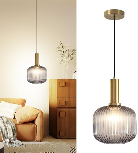 jengush Battery Operated Pendant Light,Black Battery Ceiling Light fixtures with Rechargeable 8000mAh Bulbs 10 Colors Modes Remote Dimmable for Bedroom Living Room Hallway(Clear)