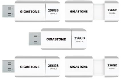 Gigastone Z60 Memoria USB 3.2 Gen1 256 GB, Unidad Flash, Paquete de 5, R/W 120/60 MB/s de Ultra Alta Velocidad, Unidad de Pulgar de diseño retráctil sin Tapa, con Interfaz USB 2.0/USB 3.0/USB 3.1