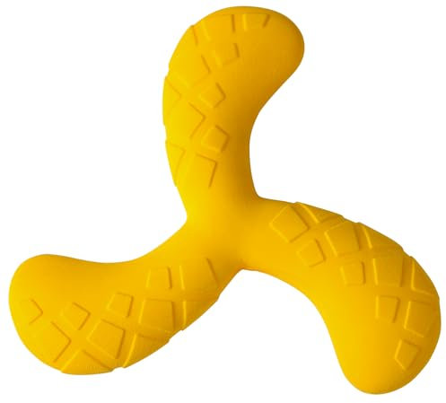 Joyinjojo Schwimmendes Hundespielzeug mit fliegenden Scheiben, langlebiges Kauspielzeug für Hunde, interaktives Apportier-Flyer, Spielzeug, Outdoor-Wasserpool, Hundespielzeug für große, mittelgroße