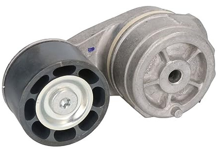 Dayco APV2691 Spannarm