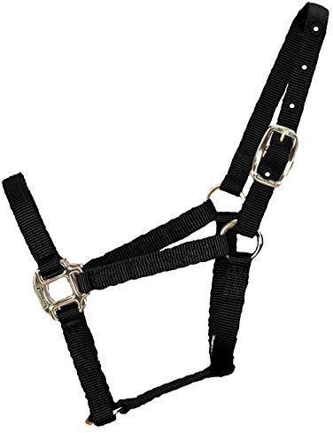 Hamilton Halfter für Pferde, 1,9 cm (3/4 Zoll), Nylon, hochwertig, Entwöhnung oder großes Pony, 90-136 kg, Schwarz