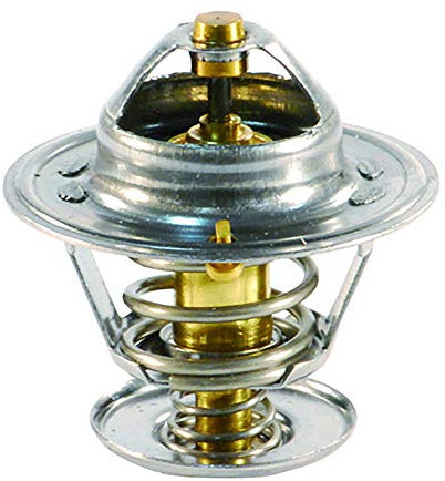 FAE 5307788 Termostato, Refrigerante