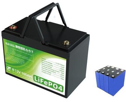 WILLQ 12,8 V LiFePO4-Akku 12V 100Ah LiFePO4 Lithiumbatterie 100A BMS 2000+Zyklen max. 1280 Wh Energie perfekt für Wohnmobil-Solar-Trolling-Motor