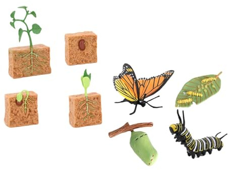 QLECXZI Colección de miniaturas sobre el Ciclo de Vida de Las Plantas Que fomenta la educación científica en niños y niñas. Aprendizaje Interactivo.