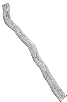 EUROPALMS Cipo Rosca Liane, getrocknet 70x8cm | Getrocknete weiße Liane