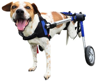 Walkin' Wheels Dog Wheelchair - for Medium Dogs 26-49 lbs - Veterinarian Approved - Dog Wheelchair for Back Legs