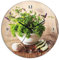 ARTLAND Wanddeko Wanduhr ohne Tickgeräusche Glas Funkuhr Ø 30 cm Rund Lautlos Kräuter Gewürze Holzoptik Landhaus Landhausstil Food T5QG
