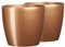 Tymar Pot de Fleurs, Pot de Plantes en Plastique, Lot de 2, Forme Ronde, Cache-Pot (Doré, ø 36 cm)