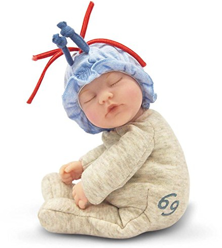 Anne Geddes Zodiac Collection Bean Filled Doll Cancer