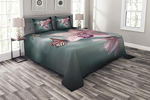 ABAKUHAUS Blumen Tagesdecke Set, Orchideen-Blume Schmetterling, Set mit Kissenbezügen Waschbar, für Doppelbetten 220 x 220 cm, Jadegrün Baby