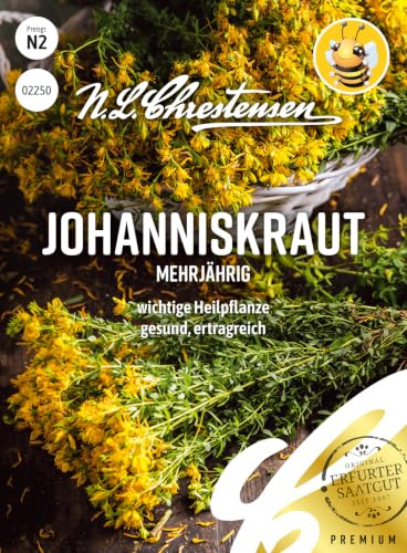 Chrestensen Johanniskraut Samen | mehrjährig, Heilpflanze, Bienenweide, Hummelmagnet, Lichtkeimer, samenfest