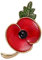 Acxico Mohnblumen-Brosche 'Lest We Forget' - Anstecknadel für Gedenktag - Acryl, Kein Edelstein