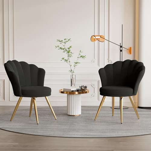 Aivermeil Esszimmerstühle Samt • Muschelsessel mit Rückenlehne & Armlehnen • Schminktisch Stuhl • Polstersessel Elegant • Akzentstuhl mit Gold Metallbeinen Accent Chair • Schwarz x 2