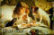 Buddel-Bini Versand Blechschild Pears Soap Seife Kind Hund Katze Nostalgie Schild Badezimmer Dekoration