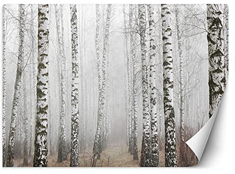 Feeby Fototapete Moderne Wanddeko Wandbilder Birkenwald Im Nebel 254x184 cm Grau Wandtapete Design Kinderzimmer Küche Büro Flur Wohnzimmer Natur Bäume