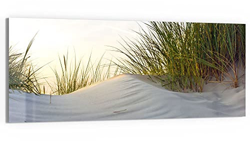 DEQORI Glasbild Acrylglas | Motiv Düne mit Dünengras | horizontal einteilig 125x50 cm | schöne Dekoration | Wandbild für Wohnzimmer, Schlafzimmer, Flur & Küche | moderne Wanddeko