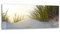 DEQORI Glasbild Acrylglas | Motiv Düne mit Dünengras | horizontal einteilig 125x50 cm | schöne Dekoration | Wandbild für Wohnzimmer, Schlafzimmer, Flur & Küche | moderne Wanddeko