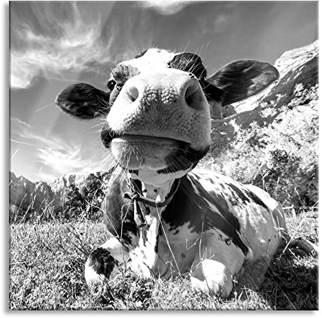 Pixxprint Glasbild, Wandbild auf Echtglas, Kuh im Karwendelgebirge Kunst B&W, 40x40 cm, inkl. Aufhängung und Abstandshalter