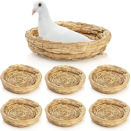Eorbow Paquete de 6 nidos de paja tejida para pájaros, nido de desove de base plana de 8 pulgadas, hecho a mano, cama de cría de animales pequeños, accesorios para jaula de casa para paloma, paloma,