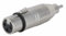 DAP Adapter XLR Female/Cinch Male
